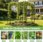 Grape Vine Trellis,Heavy Duty Metal Plant Support Trellis-113L*81W*96H in - Image 6