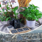 18lb Small Smooth River Rocks Pebbles for Plants & Succulents, Decorative Outdoor Landscaping Garden Rocks, Natural Mexican Beach Pebbles, Gravel for Aquarium, Fish Tanks, Vase and Yard Decor - Image 3