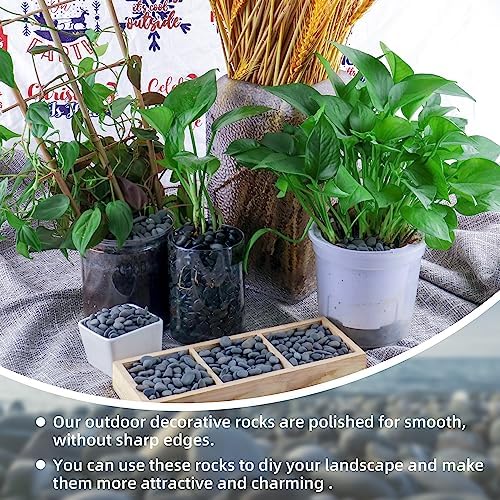 18lb Small Smooth River Rocks Pebbles for Plants & Succulents, Decorative Outdoor Landscaping Garden Rocks, Natural Mexican Beach Pebbles, Gravel for Aquarium, Fish Tanks, Vase and Yard Decor - Image 3