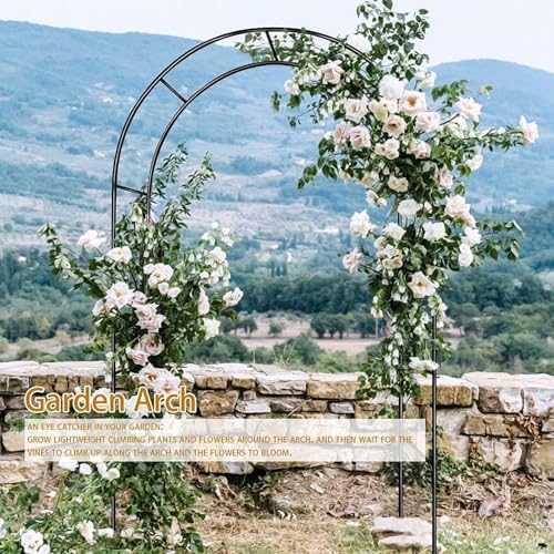 Garden Arch Trellis for Climbing Plants Outdoor Wedding Arches for Ceremony Black Metal Garden Arbor Indoor Garden Arches for Party Decoration 7.9ft Wide X 6.4ft High (Black Garden Arch) - Image 3