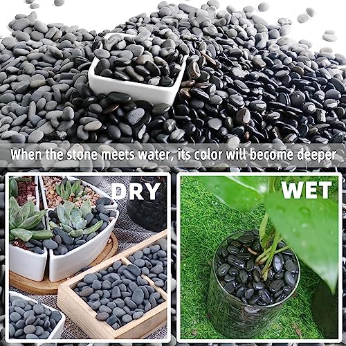 18lb Small Smooth River Rocks Pebbles for Plants & Succulents, Decorative Outdoor Landscaping Garden Rocks, Natural Mexican Beach Pebbles, Gravel for Aquarium, Fish Tanks, Vase and Yard Decor - Image 6