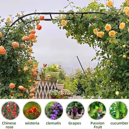 BUKLIYN Garden Arch Trellis - Garden Arch Size: 92.5in(L) * 105in(H) - Image 6