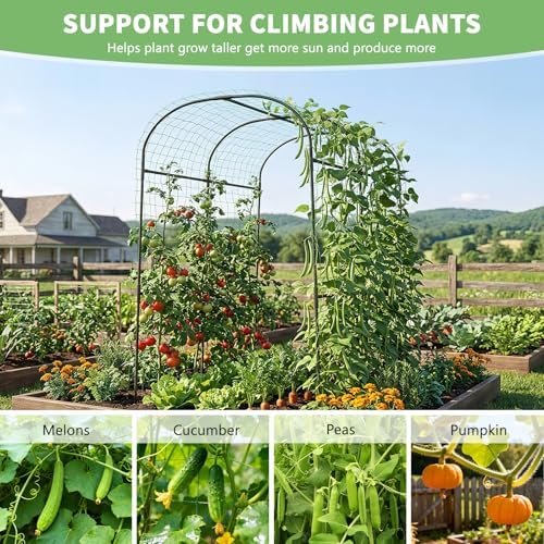 DoCred Tall Garden Arch Trellis for Climbing Plants, 83 Inch Tall Metal Plant Support Trellis Archway for Climbing Vine Vegetable/Fruit/Flower Outdoor Yard Lawn Garden Arch Tunnel Trellis - Image 6