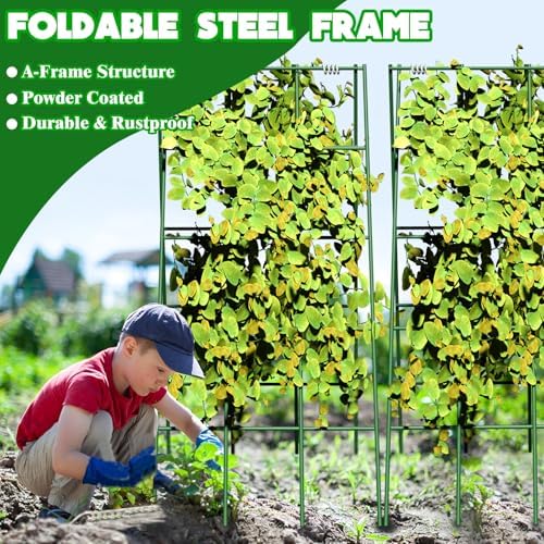 No Assembly Required Cucumber Trellis,2 Pack Trellis for Cucumbers,Outdoor Raised Bed Climbing Plant Support,A-Frame Garden Frame,Used for Vegetables,peas,Tomatoes,Squash,Melon and Fruit Frame - Image 2