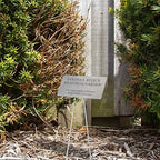 Outdoor Metal Garden Sign, Label, or Memorial. 4 x 2" or 6 x 4" sign with rounded corners and a 10" stake. Materials Include: Stainless Steel, Brass, Copper, Bronze and Titanium. (Titanium, 4 x 2") - Image 4