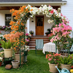 Thickened Rustproof Garden Arch Metal Trellis for Climbing Plants - Image 2