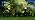 5W Low Voltage Landscape Pathway Lights with Connectors 12V Outdoor Landscape Lighting LED Bollard Path Lights Wired IP65 Waterproof Warm White Walkway Lights for Garden Yard Lawn (12Pack) - Image 7