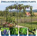 Grape and Cucumber Trellis,Outdoor Garden Arch Trellis for Climbing Plants,Large Grape Vine Trellis Pergola for Peas,Flowers and Melons,78" Hx78 Lx78 W,Nice for Yard and Patio - Image 2