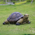 Garden Turtle Statue Decoration, Large Realistic Tortoise Figurine, Outdoor Lawn Ornament Garden Outdoor Courtyard, Lawn Landscape, Swimming Pool Decoration, Festival and Birthday Gifts by Unknown