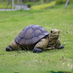 Garden Turtle Statue Decoration, Large Realistic Tortoise Figurine, Outdoor Lawn Ornament Garden Outdoor Courtyard, Lawn Landscape, Swimming Pool Decoration, Festival and Birthday Gifts by Unknown