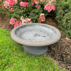 Fiber Clay Birdbath, Low-Profile Base, Dove Gray, 19" D x 7.5" H, 6.5lbs. by FiberClayBirdbaths