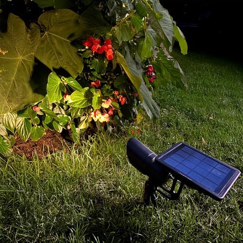 Gama Sonic Tri-Color Progressive Solar LED Spotlight with 100 Lumens, Outdoor Black Cast Aluminum, 3000K/4000K/5000K with Detachable Solar Panel (103i90090) - Image 3