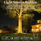 Tree Lights Outdoor,IP65 Waterproof Palm Tree Lights,DC12V,4 Pack - Image 4