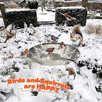 2 Pack Upgrade Bird Bath Heater for Outdoors in Winter, Pond Deicer 60 Watts Birdbath Deicer Water Heater Thermostatically Controlled with Auto Shut off Function for Patio Lawn (Army Green,Black) - Image 6