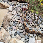 FANTIAN 40 lbs River Rocks for Landscaping,1-2 Inch Pebble Decorative Stone - Image 5
