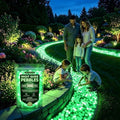 Colorful Glow-in-the-Dark Garden Stones, Rainbow Luminous Pebbles for Outdoor Walkway Patio Lawn Yard Landscaping, Glowing Stepping Rocks for Garden Path Fish Tank Aquarium Decor (1000, Green) by Unknown