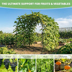 DoCred 88"H x 88"L Garden Arch Trellis, Garden Archway for Climbing Plants - Image 6