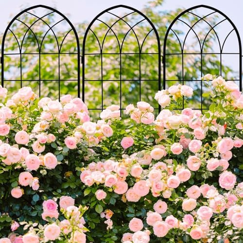 LZRS 71 x 80in Rustic Iron Arch Decoration Garden Trellis with Black Metal Coating – Perfect for Supporting Climbing Plants Outdoor, Roses, Vines, Flowers, and Vegetables. - Image 3
