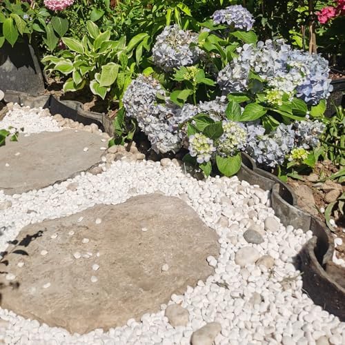 FANTIAN 10 lbs White River Rocks for Garden, 0.5-1 Inch Pebbles for Indoor Plants, Decorative Stones for Landscaping, Succulent, Vases, Aquariums and Zen Garden - Image 4
