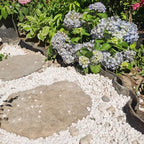 FANTIAN 10 lbs White River Rocks for Garden, 0.5-1 Inch Pebbles for Indoor Plants, Decorative Stones for Landscaping, Succulent, Vases, Aquariums and Zen Garden - Image 4