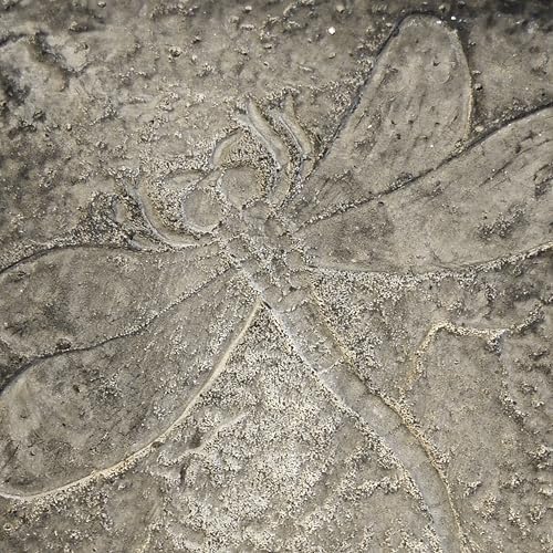 BestNest Set of 2 Athens Dragonfly Stepping Stones, Pre Aged - Image 7