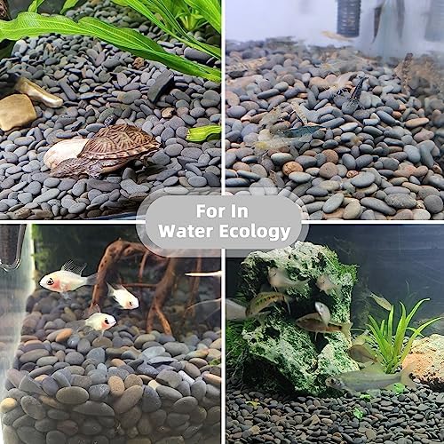 18lb Small Smooth River Rocks Pebbles for Plants & Succulents, Decorative Outdoor Landscaping Garden Rocks, Natural Mexican Beach Pebbles, Gravel for Aquarium, Fish Tanks, Vase and Yard Decor - Image 4