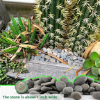 45LB River Rocks,Mexican Beach Pebbles for Plants,Potting,Garden Landscape Stone Paving Stone Grey 1Inch… - Image 2