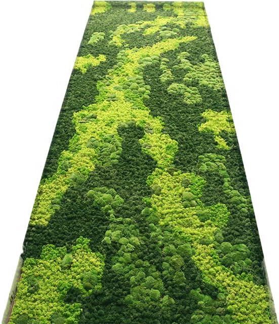Preserved Reindeer Moss Natural Green DIY Kit Gardenning Art Wall Decor Florist Decor Easter Table Decor Wedding - Image 6
