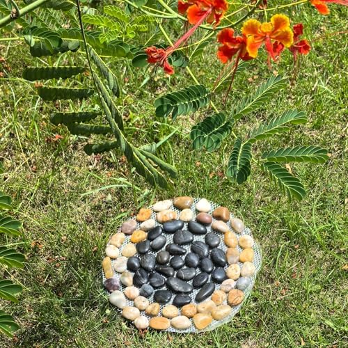 Garden Stepping Stones ourtdoor Decorative Round Stepping Stones with Black Stones Round Polished River Pebble Stone from Natureal River,for Garden Patio - Image 2