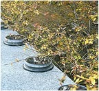 Solar Ground Lights Outdoor, Flat Yard Lights with 17 Led, Outdoor Waterproof Disc Landscape Lights for Patio Lawn Yard Deck Walkway, Multicolor, 4 Pack - Image 4
