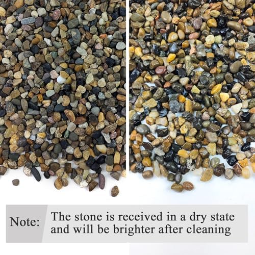FANTIAN 20 lbs Natural Fish Tank Gravel,1/4 Inch Pea Gravel. Mixed Color River Rocks for Aquarium, Succulent, Vase, Cactus Bonsai, Plant Soil Cover and Outdoor Landscaping Rocks - Image 2