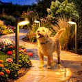 VOLISUN Solar Pathway Lights Outdoor, 12 Pack 3CCT(3000K/4500K/6000K) Bright Solar Walkway Lights, Auto On/Off, Landscape Path Lights with Optical Len & IP65 Waterproof for Yard Patio Walkway Driveway by VOLISUN