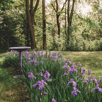 Backyard Expressions Outdoor Garden Bird Bath - Lilac Purple - Weather Resistant Polyresin - 27 Inch - Image 6