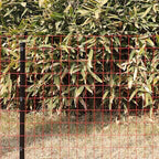 Red PVC Coated Welded Wire Fence 36" x 50' Roll, 2"x3" Mesh, 16 Gauge - Image 2