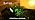 nipify Solar Spot Lights Outdoor Color Changing, Halloween RGB Spotlights - Image 7