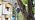 Hot Air Balloon Solar Lantern, American Flag Glass Solar Light Garden Decor - Image 7