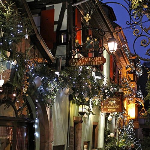 Solar String Lights for Halloween 2 Pack, Total 480 LED 170Ft White - Image 6