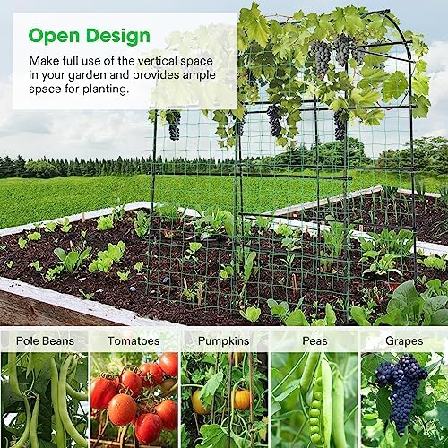 VIVOSUN 7Ft. Arch Trellis for Climbing Plants, 7 x 6 x 7ft Tall Metal Tunnel Trellis, Lightweight Metal Plant Support Archway with Nylon Netting for Climbing Vine, Vegetables, Fruits, Flowers, Black - Image 7