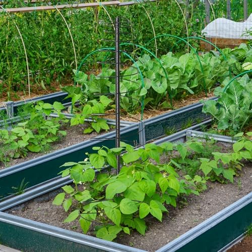 Outdoor Metal Trellis for Climbing Plants, Heavy Duty Rustproof Garden Trellis 45in, Sturdy Plant Support for Roses, Ivy, Tomatoes, Cucumbers, Flowers - Image 7