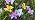 Solar Garden Lights Outdoor 4 Pack Lily Lights with Butterflies, Waterproof - Image 7