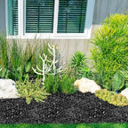 15 lb Black River Rocks for Landscaping, Polished Black Pebbles for Potted Plants & Vases, Large 1-2 Inch Decorative Stones for Garden Beds, Planters & Aquariums Decor - Image 5