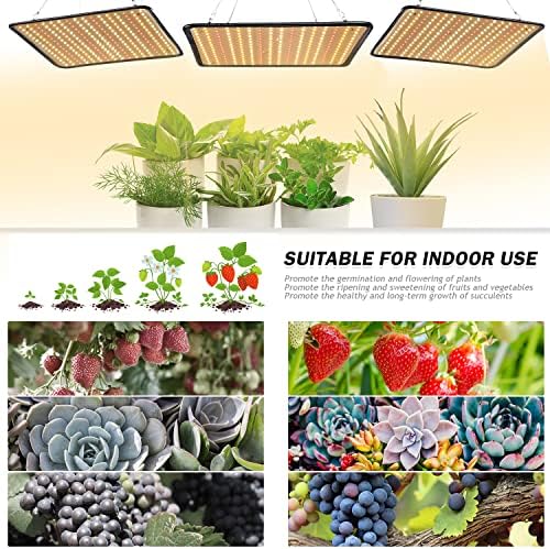 200W LED Grow Light - Full Spectrum, Plant Growing Lamp for Indoor Plants, Greenhouse, Grow Tent, Hydroponics - Image 5