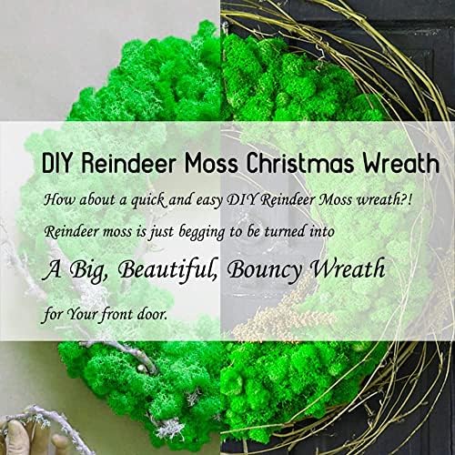 Preserved Reindeer Moss Natural Green DIY Kit Gardenning Art Wall Decor Florist Decor Easter Table Decor Wedding - Image 3