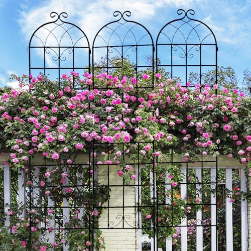 Garden Trellis for Climbing Plants Outdoor, 4-Pack 86" Metal Rustproof - Image 6