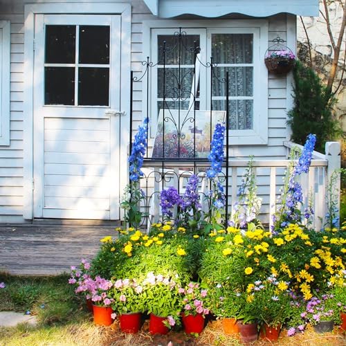 Garden Trellis for Climbing Plants 70.8" H x 25.6" W Metal Premium Quality Material Rust-Resistant Climbing Frame Stylish Garden Addition Outdoor Roses Vine Ivy Clematis Trellises Black - Image 6