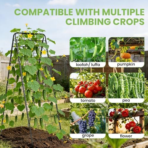 Garden Trellis for Cucumbers, 50 x 16 Inch Adjustable A-Frame Plant Support for Climbing Plants Outdoor, Vegetable, Flowers, Heavy Duty 1cm Metal Vegetable Trellis for Backyard, Raised Bed, Patio - Image 4