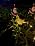 Christmas Santa Solar Kettle Lights, Solar Garden Watering Can Lights with Cascading Lights, Waterproof Hanging Metal Outdoor Lantern Decorations for Garden Patio Porch Yard (Warm) - Image 7