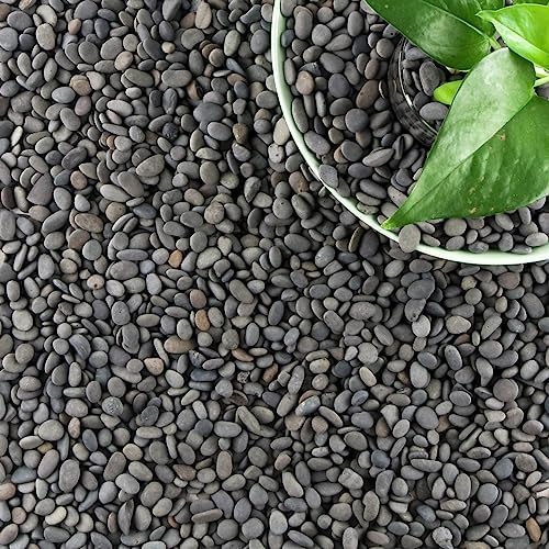 18lb Small Smooth River Rocks Pebbles for Plants & Succulents, Decorative Outdoor Landscaping Garden Rocks, Natural Mexican Beach Pebbles, Gravel for Aquarium, Fish Tanks, Vase and Yard Decor by CJGQ