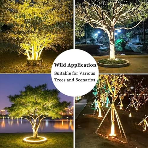 DC 24V Ring Tree Light Outdoor Landscape Uplight with Transformer - Image 7