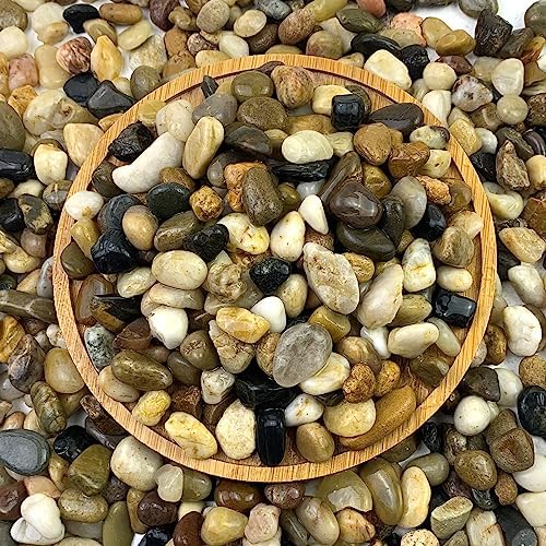 FANTIAN 10 lbs Pea Gravel for Landscaping, 2/5 Inch Size Mixed Color River Rocks for Aquarium, Succulent, Vase Fillers, Cactus Bonsai, Plant Soil Cover and Outdoor Garden Rocks. by FANTIAN-GardeningMakesLifeBetter